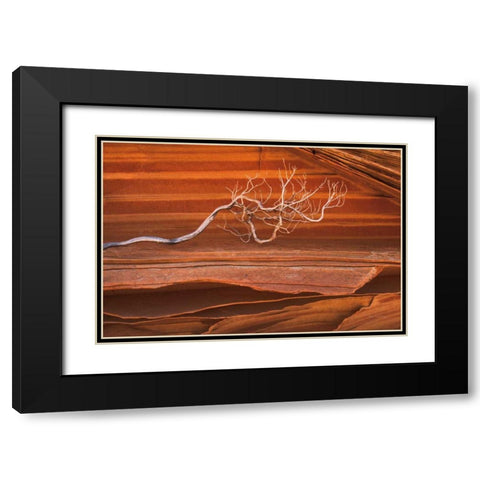 Coyote Buttes III Black Modern Wood Framed Art Print with Double Matting by Majchrowicz, Alan