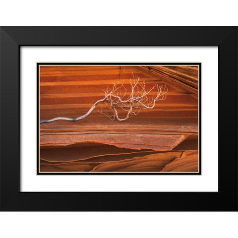 Coyote Buttes III Black Modern Wood Framed Art Print with Double Matting by Majchrowicz, Alan