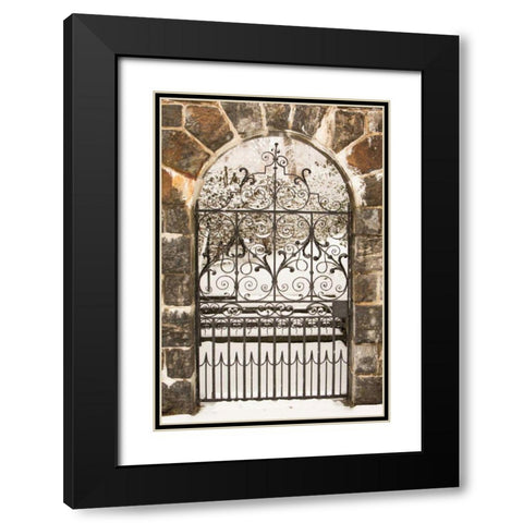 Winterthur Gate Black Modern Wood Framed Art Print with Double Matting by Aledanda