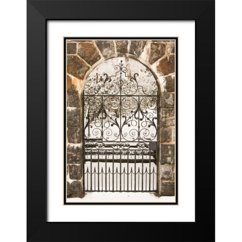Winterthur Gate Black Modern Wood Framed Art Print with Double Matting by Aledanda