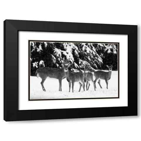 The Herd Black Modern Wood Framed Art Print with Double Matting by Aledanda