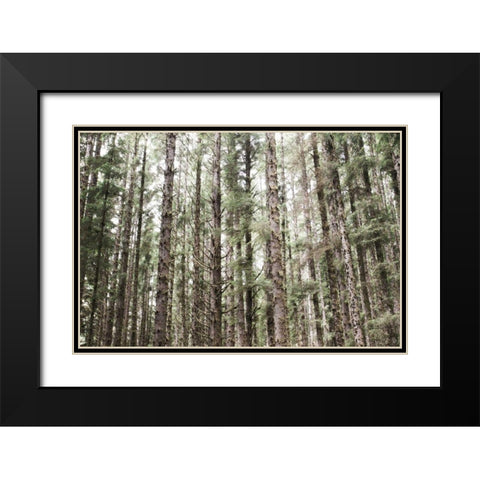 Mossy Pines Black Modern Wood Framed Art Print with Double Matting by Marshall, Laura
