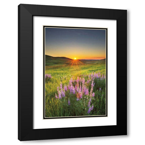Prairie Sunrise Black Modern Wood Framed Art Print with Double Matting by Majchrowicz, Alan