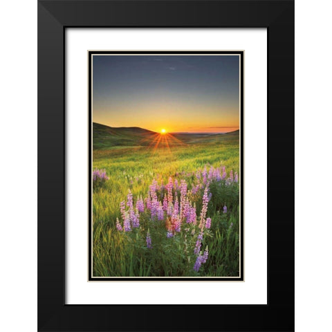 Prairie Sunrise Black Modern Wood Framed Art Print with Double Matting by Majchrowicz, Alan