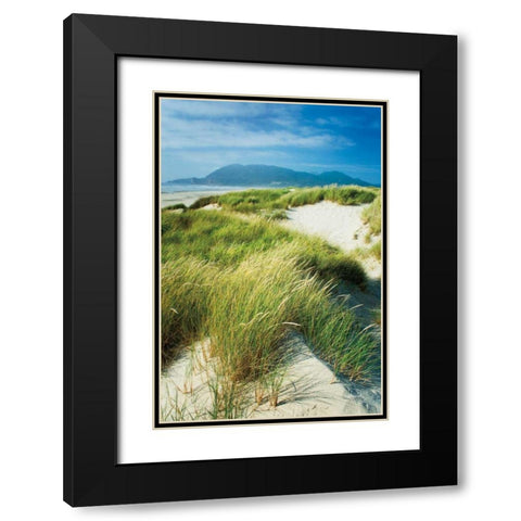 Oregon Dunes Grass Black Modern Wood Framed Art Print with Double Matting by Majchrowicz, Alan