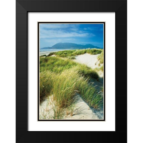Oregon Dunes Grass Black Modern Wood Framed Art Print with Double Matting by Majchrowicz, Alan