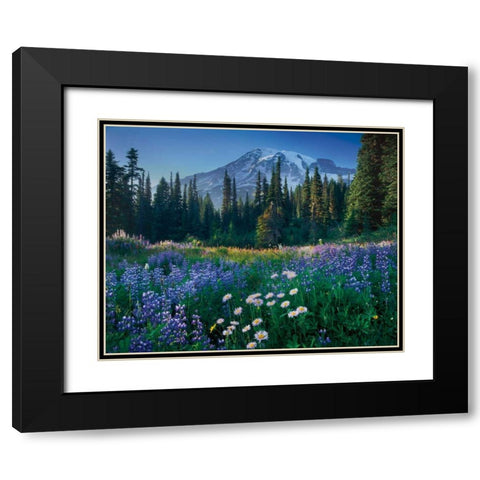 Mount Rainier Black Modern Wood Framed Art Print with Double Matting by Majchrowicz, Alan