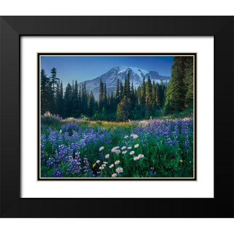Mount Rainier Black Modern Wood Framed Art Print with Double Matting by Majchrowicz, Alan