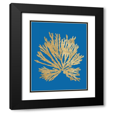 Pacific Sea Mosses II Blue Black Modern Wood Framed Art Print with Double Matting by Wild Apple Portfolio