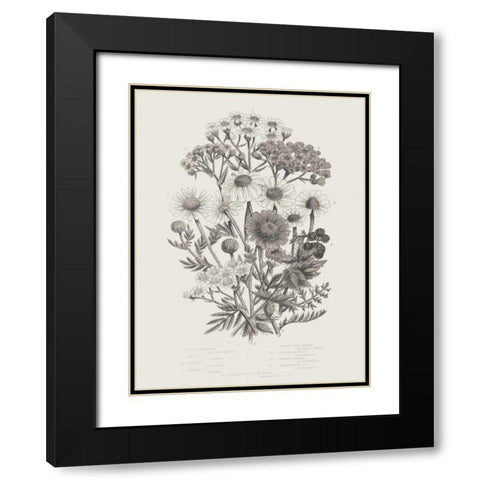 Flowering Plants V Neutral Black Modern Wood Framed Art Print with Double Matting by Wild Apple Portfolio