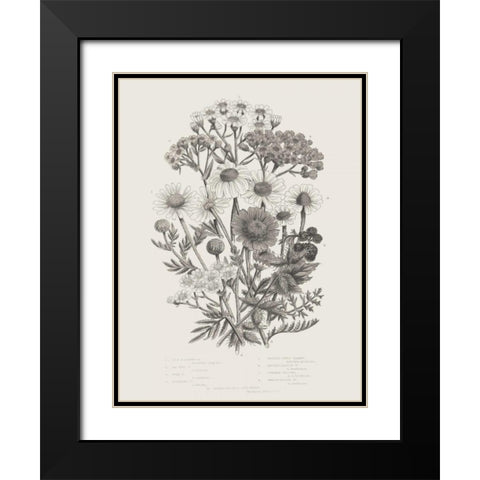 Flowering Plants V Neutral Black Modern Wood Framed Art Print with Double Matting by Wild Apple Portfolio
