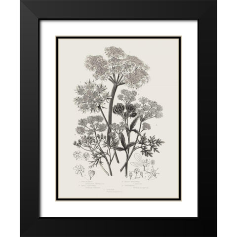 Flowering Plants VI Neutral Black Modern Wood Framed Art Print with Double Matting by Wild Apple Portfolio