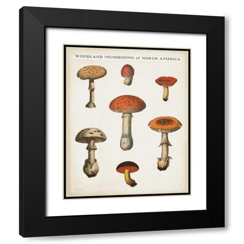 Mushroom Chart III Light Black Modern Wood Framed Art Print with Double Matting by Wild Apple Portfolio