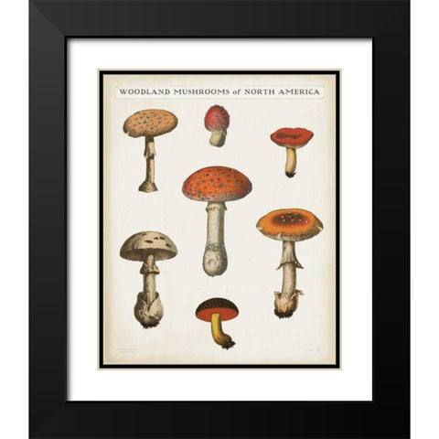 Mushroom Chart III Light Black Modern Wood Framed Art Print with Double Matting by Wild Apple Portfolio