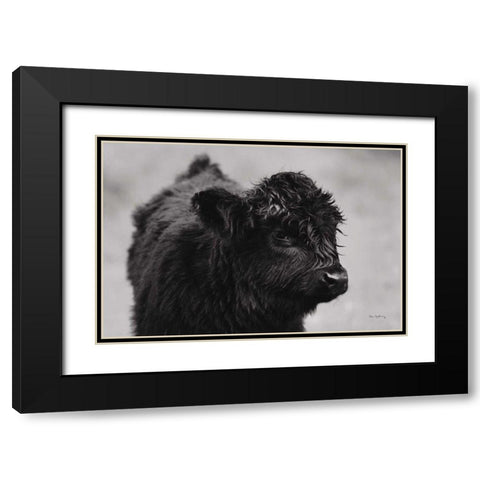 Scottish Highland Cattle XI BW Black Modern Wood Framed Art Print with Double Matting by Majchrowicz, Alan