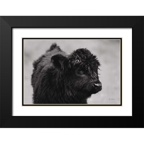 Scottish Highland Cattle XI BW Black Modern Wood Framed Art Print with Double Matting by Majchrowicz, Alan