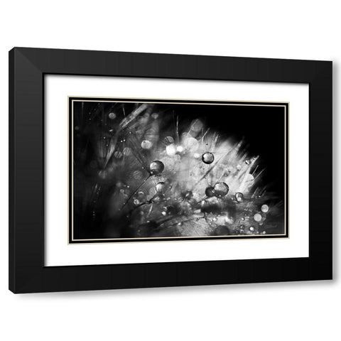 Dandelion Abstract I Black Modern Wood Framed Art Print with Double Matting by Marshall, Laura