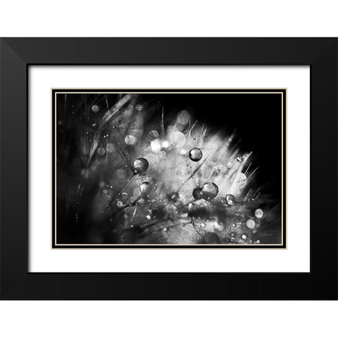 Dandelion Abstract I Black Modern Wood Framed Art Print with Double Matting by Marshall, Laura