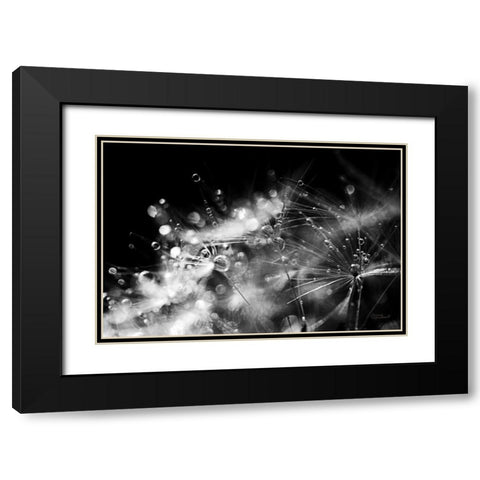 Dandelion Abstract II Black Modern Wood Framed Art Print with Double Matting by Marshall, Laura