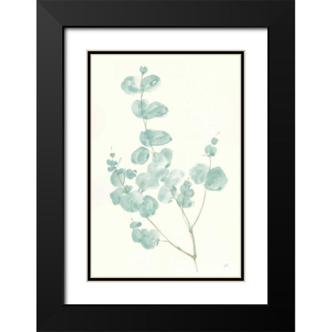 Eucalyptus Branch I Black Modern Wood Framed Art Print with Double Matting by Paschke, Chris