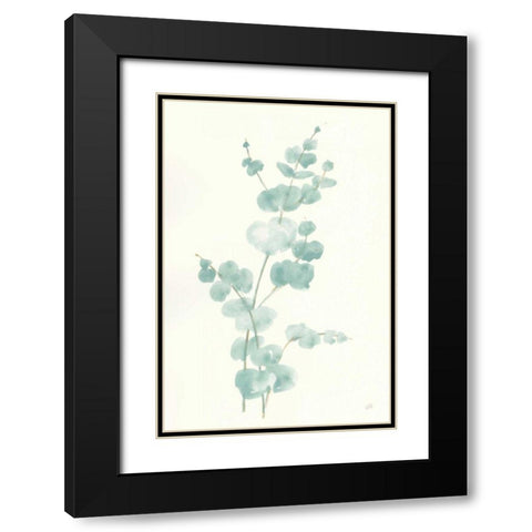 Eucalyptus Branch II Black Modern Wood Framed Art Print with Double Matting by Paschke, Chris