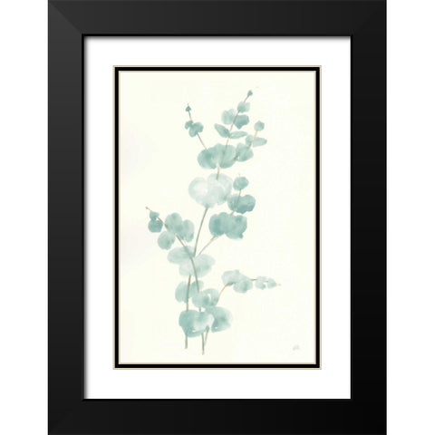 Eucalyptus Branch II Black Modern Wood Framed Art Print with Double Matting by Paschke, Chris