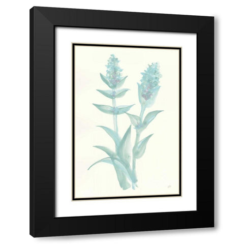 Lambs Ear Sage II Black Modern Wood Framed Art Print with Double Matting by Paschke, Chris