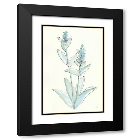Lambs Ear Sage IV Black Modern Wood Framed Art Print with Double Matting by Paschke, Chris