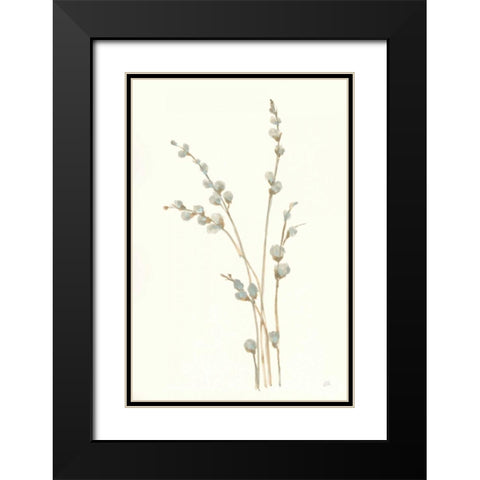 Pussy Willows I Black Modern Wood Framed Art Print with Double Matting by Paschke, Chris