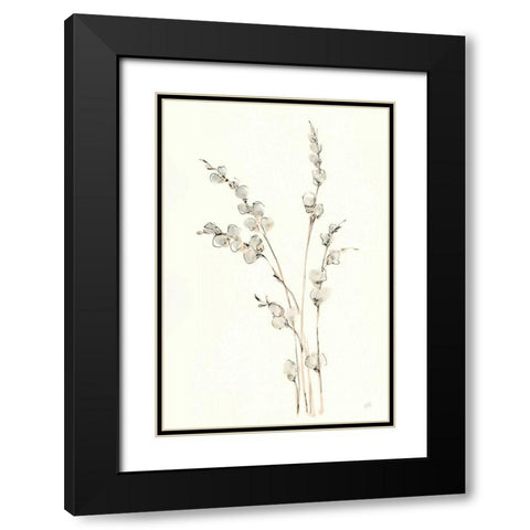 Pussy Willows IV Black Modern Wood Framed Art Print with Double Matting by Paschke, Chris