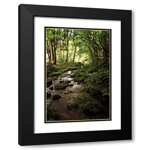 Lush Creek in Forest Black Modern Wood Framed Art Print with Double Matting by Van Swearingen, Debra