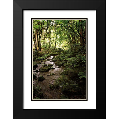 Lush Creek in Forest Black Modern Wood Framed Art Print with Double Matting by Van Swearingen, Debra