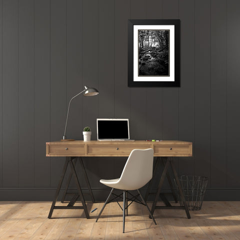 Lush Creek in Forest BW Black Modern Wood Framed Art Print with Double Matting by Van Swearingen, Debra