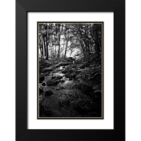 Lush Creek in Forest BW Black Modern Wood Framed Art Print with Double Matting by Van Swearingen, Debra