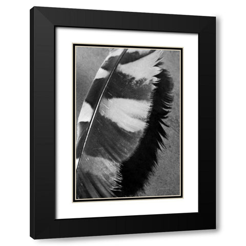 Feather Shadow I Black Modern Wood Framed Art Print with Double Matting by Van Swearingen, Debra