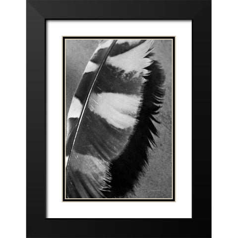 Feather Shadow I Black Modern Wood Framed Art Print with Double Matting by Van Swearingen, Debra