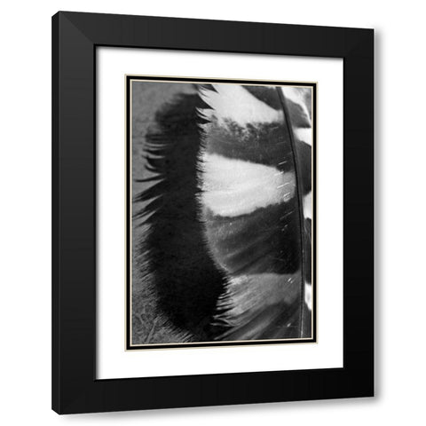 Feather Shadow III Black Modern Wood Framed Art Print with Double Matting by Van Swearingen, Debra