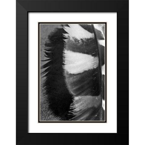 Feather Shadow III Black Modern Wood Framed Art Print with Double Matting by Van Swearingen, Debra