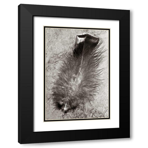 Feather Shadow IV Black Modern Wood Framed Art Print with Double Matting by Van Swearingen, Debra