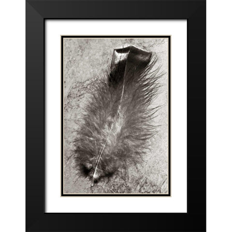 Feather Shadow IV Black Modern Wood Framed Art Print with Double Matting by Van Swearingen, Debra