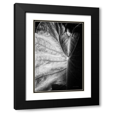 Elephant Ear I Black Modern Wood Framed Art Print with Double Matting by Van Swearingen, Debra