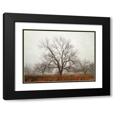 Morning Calm I Black Modern Wood Framed Art Print with Double Matting by Van Swearingen, Debra