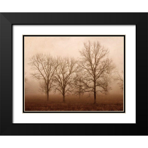 Morning Calm III Black Modern Wood Framed Art Print with Double Matting by Van Swearingen, Debra