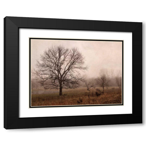 Morning Calm IV Black Modern Wood Framed Art Print with Double Matting by Van Swearingen, Debra