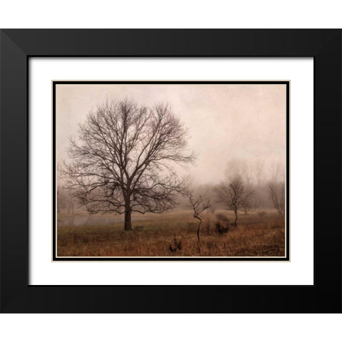 Morning Calm IV Black Modern Wood Framed Art Print with Double Matting by Van Swearingen, Debra
