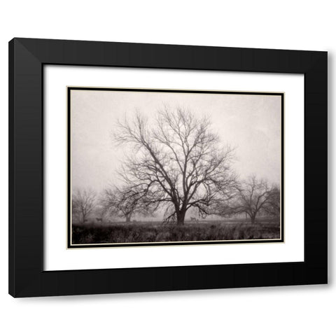 Morning Calm I BW Black Modern Wood Framed Art Print with Double Matting by Van Swearingen, Debra
