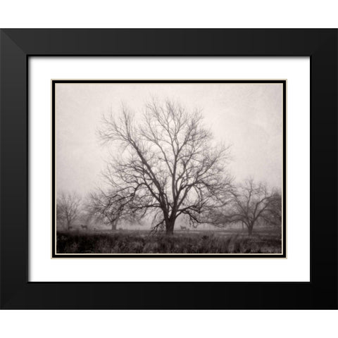 Morning Calm I BW Black Modern Wood Framed Art Print with Double Matting by Van Swearingen, Debra