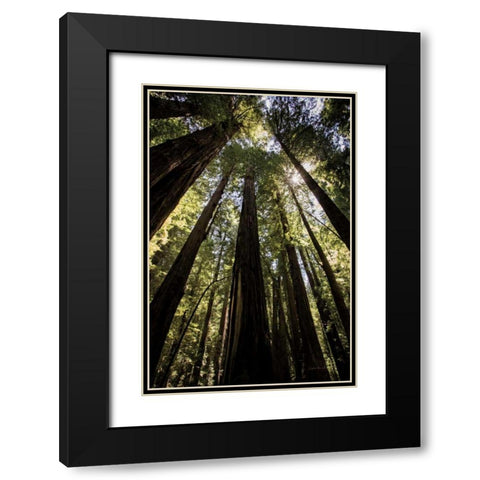 The Stand Black Modern Wood Framed Art Print with Double Matting by Van Swearingen, Debra