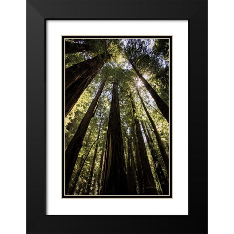 The Stand Black Modern Wood Framed Art Print with Double Matting by Van Swearingen, Debra