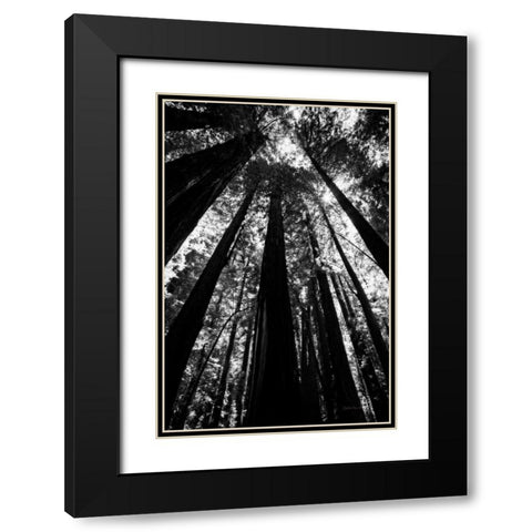 The Stand BW Black Modern Wood Framed Art Print with Double Matting by Van Swearingen, Debra